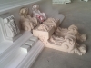 IMAG0584